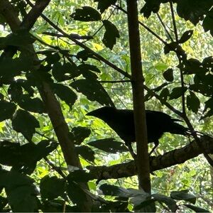 Meet your Posher, Riley